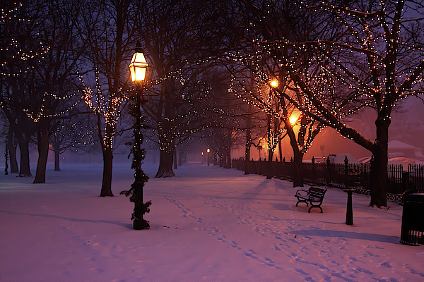 Chistmas Lights on Salem Common by Jeff Folger Chistmas Lights on Salem Common by Jeff Folger